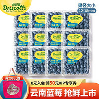 Driscoll's Only the Finest Berries 怡颗莓 当季云南蓝莓 现货新鲜水果 125g*12盒