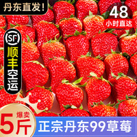 味必然 丹东99草莓九九红颜奶油牛奶新鲜水果礼盒味甜个大顺丰空运包邮