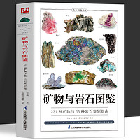 《矿物与岩石图鉴》