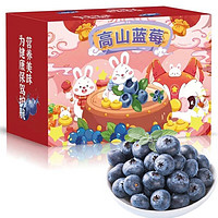 京鲜到 高山蓝莓 甄选18mm+大果 2盒装 约125g/盒 （4盒更合算）