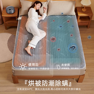 CHIGO 志高 水暖毯单人电热毯水暖水循环电热毯 遥控数显+除螨1.8*0.9单人高级毯