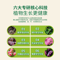 洋丰 通用型植物营养液花肥发财树多肉绿植月季花卉水培肥料专用