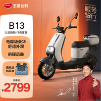 ZUB 五星钻豹 电动车80KM续航新国标电动自行车48V24AH锂电池 B13凝雪白尾箱版