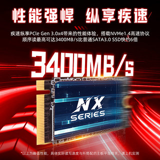 金胜维（KingSpec）1TB SSD固态硬盘NVMe 2230 M.2接口 PCIe3.0 适配SteamDeck掌机 NX系列