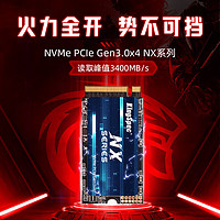 金胜维（KingSpec）1TB SSD固态硬盘NVMe 2242 M.2接口 PCIe3.0 NXM系列