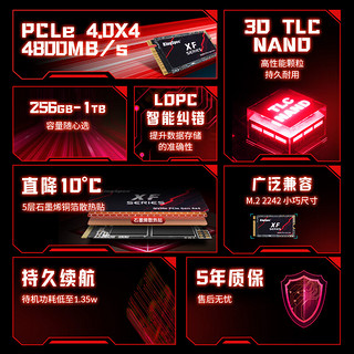 金胜维（KingSpec）512GB SSD固态硬盘NVMe 2242 M.2接口 PCIe4.0 XF系列