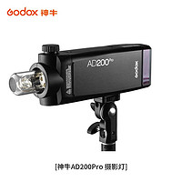 Godox 神牛 AD200pro闪光灯锂电池口袋便携外拍摄影补光灯单反相机高速TTL闪光灯 AD200pro外拍灯 标配