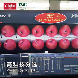 农夫山泉 17.5°苹果 阿克苏苹果 XL果径87±4mm 15个装 新鲜水果礼