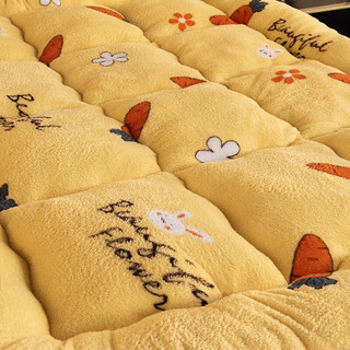 南极人羊羔绒床垫软垫宿舍单人垫子加厚家用双人席梦思床单保护垫床褥子 胡萝卜 90x190cm