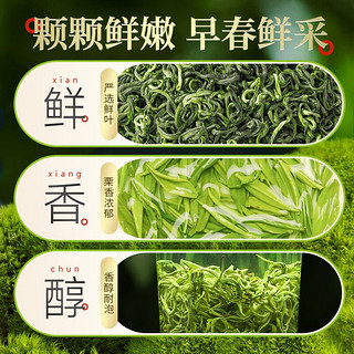 乐品乐茶高山绿茶 2023新茶 明前云雾高山茶叶特级浓香春茶礼盒装 特级 250g 2罐 高山绿茶【黄山】