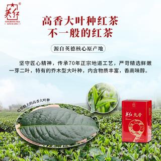【买1送1】英红 YINGHONG TEA牌红茶英德红茶英红 YINGHONG TEA九号浓香型茶叶共250g