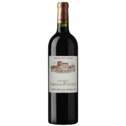 Chateau Grand-Pontet 大鹏酒庄 正牌 干红葡萄酒 2009年 750ml 单瓶装