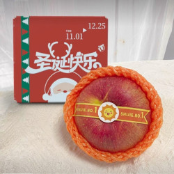 探疆奇遇 世界一号圣诞果苹果水果1枚送礼装平安夜礼物严选大富士平安果
