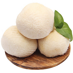 Gusong 古松食品 古松新鲜猴头菇 山珍菌菇炖汤煲汤火锅食材 2斤