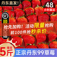 丹东99草莓九九红颜奶油牛奶新鲜水果礼盒味甜个大空运
