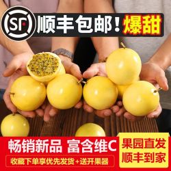 乐鲜园 钦蜜9号黄金百香果大果应季新鲜水果黄金果整箱批发