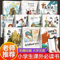 长江出版社 国际获奖小说注音版全10册大奖儿童文学十册  二三学生必读丛书