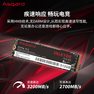 阿斯加特（Asgard） 女武神系列 V3 512GB SSD固态硬盘 M.2接口(NVMe协议) PCIe 3.0