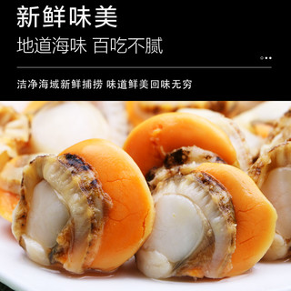 扇贝肉带黄新鲜扇贝鲜活特大冷冻海鲜水产红贝超大号特级商用