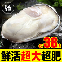 鲜驰 xianchi乳山生蚝鲜活10新鲜特大海蛎子5斤带箱海鲜牡蛎水产整箱商用
