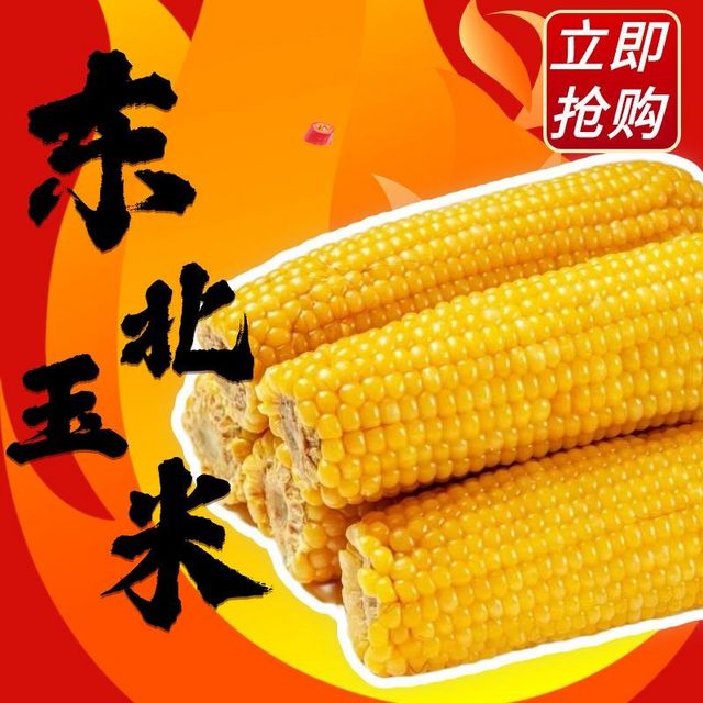 农投康良 东北黄糯玉米 220g*8根