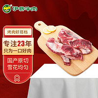 yisai 伊赛 牛肉 伊赛 谷饲牛肋条 500g