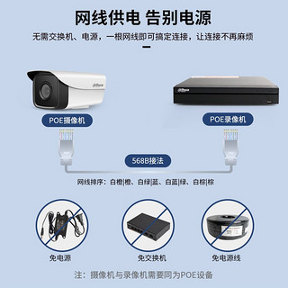 大华dahua摄像头监控室外200万录音监控摄像机红外夜视高清poe网线供电摄像机远程监控器 DH-P20A1 6mm 镜头