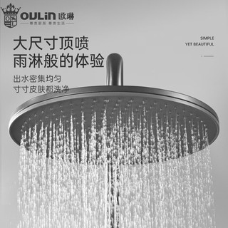 欧琳（OULIN）花洒卫生间淋浴套餐带喷枪钢琴键枪灰置物台雨淋花洒大顶喷可升降 枪灰色3601-H 带喷枪三功能手持花洒