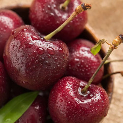 goodfarmer 佳农 智利车厘子大樱桃3j级 2.5kg