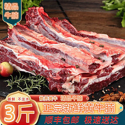 鲜伊人 正宗新鲜原切牛腩肉 3斤