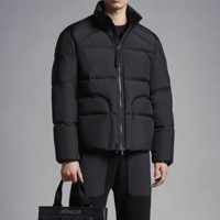 MONCLER 盟可睐 龙年系列 男士立领羽绒服 J10911A000595396L999