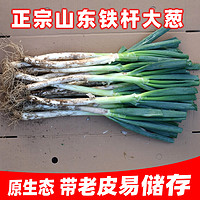 鲜俱全 山东大葱新鲜5斤铁杆去叶特产大葱10斤蔬菜非章丘批发带皮易储存