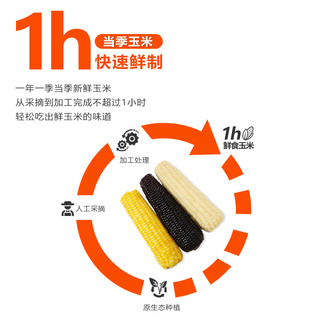 玉米糯玉米黑白黄新鲜现摘粘黏真空甜糯玉米棒非即食东北苞米
