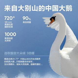 YANXUAN 网易严选 中国大鹅-30℃地表强温90白鹅绒服派克羽绒服极寒 苔-90% XL