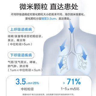 Haier 海尔 雾化器儿童雾化机家用成人老人咳嗽哮喘医用压缩式空气雾化仪 双泵HYY-W202