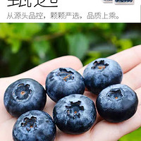 新鲜蓝莓当季生鲜水果秘鲁怡颗莓超大果绿色脆甜可口酸甜果酱
