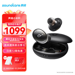 SoundCore 声阔 小金腔 Liberty 3 Pro 入耳式真无线圈铁主动降噪蓝牙耳机 耀石黑