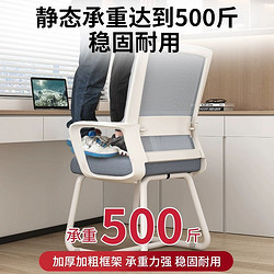 耐家 电脑椅子舒服久坐护腰靠背宿舍人体工学习书桌凳员工会议办公座椅