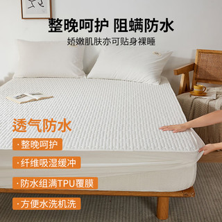 洁丽雅防水床笠罩全包床笠床垫保护套单双人宿舍家用床罩 白色 180*200cm单床笠