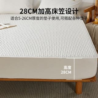 洁丽雅防水床笠罩全包床笠床垫保护套单双人宿舍家用床罩 白色 180*200cm单床笠