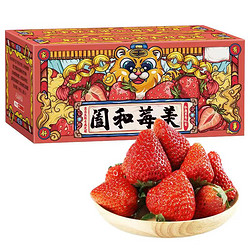 abdo 四川露天红颜99草莓 单果（16-25g）净重4.5-5斤