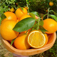 京真果 四川爱媛果冻橙38号果冻橙新鲜当季水果 中果5斤装