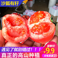 沙瓤番茄自然熟西红柿 新鲜水果生吃的蔬菜5斤攀枝花米易番茄