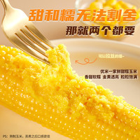 优米一家 玉米新鲜东北糯玉米棒优米一家代餐早餐真空装五芳斋黏粘甜糯苞米