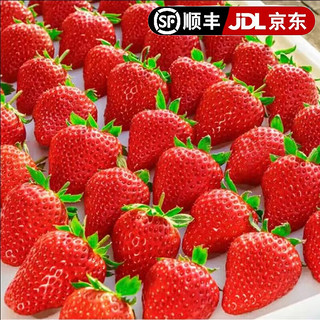 田良季【】红颜99奶油草莓甜草莓品种牛奶草莓九九生鲜品物盒 3斤 装【较划算】 特大果（单果20-25g）