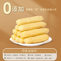 华田禾邦 云南拇指小玉米1000g 零0添加儿童糯玉米 早餐代餐 手指甜黏玉米