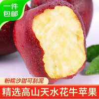 Mr.Seafood 京鲜生 甘肃天水花牛苹果水果净重2.7斤果径65-70mm 源头直发