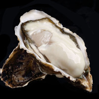 牧海翁 乳山生蚝鲜活生海蛎子 XXL 净重10斤(约46只)