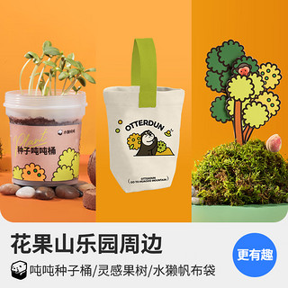 水獭吨吨 花果茶 即溶goto花果山礼盒圣诞15杯混合口味冻干果茶饮品