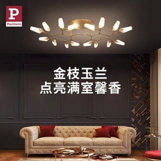 Paulmann P德国柏曼铜制吸顶灯奢华客厅大灯玻璃分子灯 无频闪无蓝光危害 流光古金+云彩玻璃 暖黄光